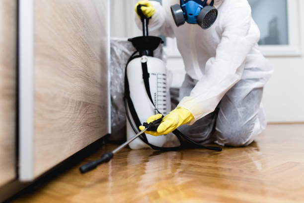 Best Insect Control  in Central City, PA