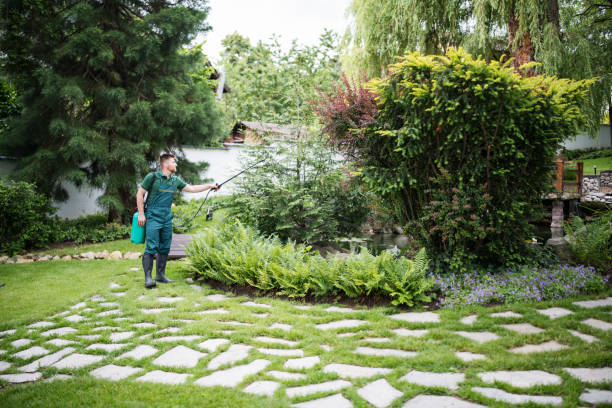 Best Pest Inspection Near Me  in Central City, PA