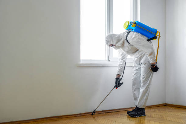 Pest Prevention Services in Central City, PA