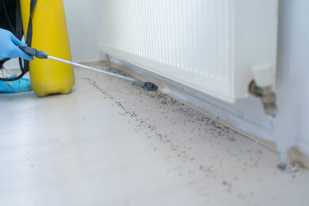 Best Best Pest Control Companies  in Central City, PA