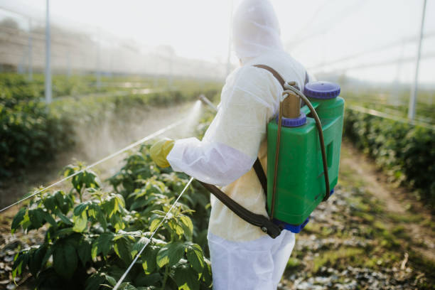 Best Affordable Pest Control Services  in Central City, PA